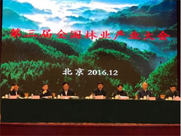 佘學彬榮獲“第三屆中國林業(yè)產(chǎn)業(yè)突出貢獻獎”