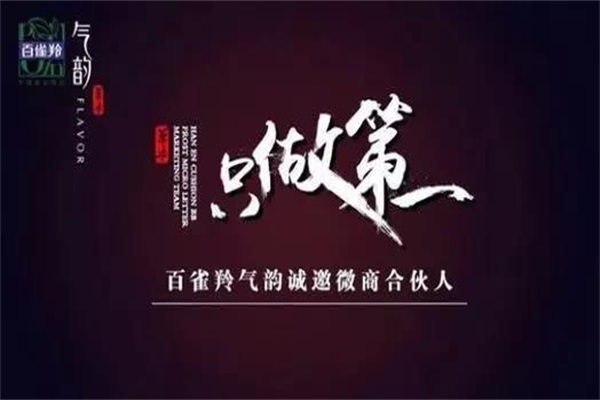微商或?qū)⒊蔀橹袊耖g經(jīng)濟(jì)重要引擎？