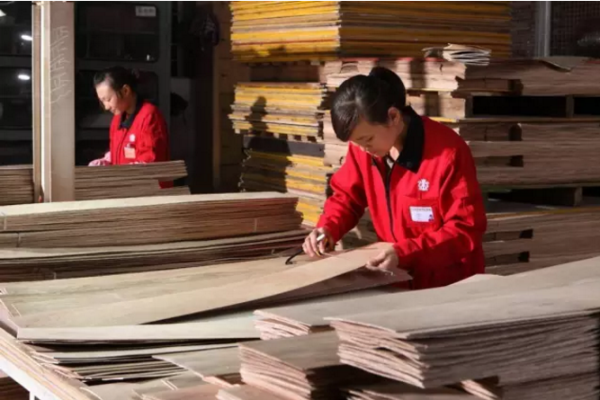 生活家地板再獲“全國質(zhì)量誠信標桿典型企業(yè)”榮譽稱號