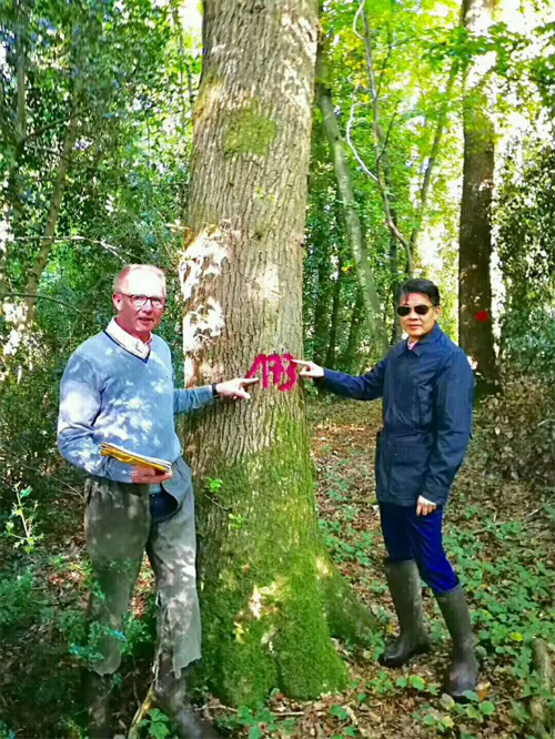 大自然木門成為《設計夢想家》唯一指定木門類合作品牌！